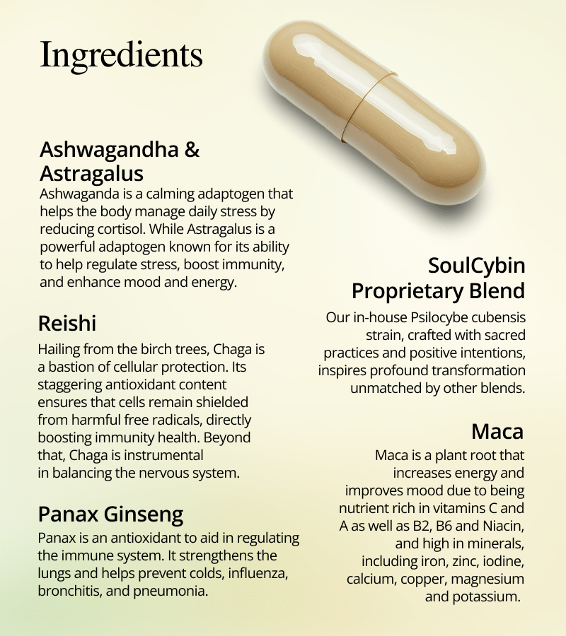Buy Adaptogen Blend – Alignment Online, buy adaptogen blend online, adaptogen supplement for stress, alignment adaptogen capsules, focus and mood support pills, natural energy and balance supplement, best adaptogenic blend 2025, where to buy adaptogen supplements online, adaptogens for mental clarity and stress relief, buy adaptogen blend online, order alignment supplement, shop adaptogenic capsules for stress, get natural energy supplement shipped, purchase adaptogen focus formula, best adaptogen blend for mood, adaptogen capsules for sale, immune support adaptogens online, stress relief herbal supplement buy now, compare adaptogenic stress blends, top adaptogen capsules 2025, adaptogen supplement reviews, coupon code for adaptogen blend, alignment bundle offers, where to buy alignment adaptogen pills, energy and focus herbal supplement, brain fog and mood support capsules