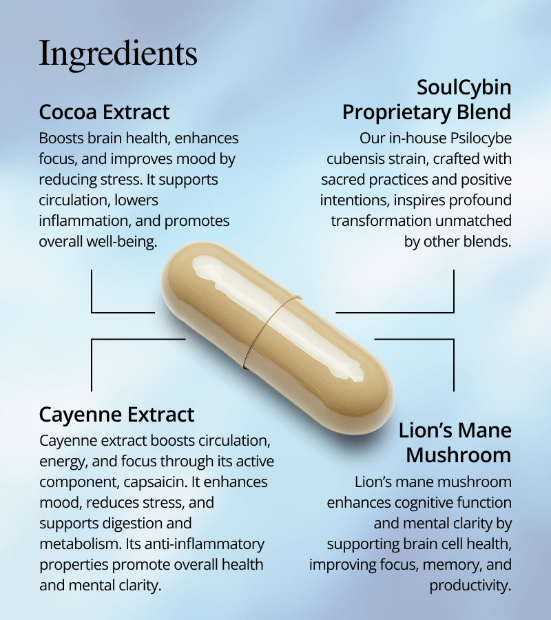 Buy Brain Booster Plus – "Think Fast", buy brain booster plus online, think fast nootropic, brain supplement for focus and memory, best natural cognitive enhancer, lion’s mane brain capsules, memory support supplement, brain fog remedy pills, where to buy brain booster online, focus and mental clarity pills, soulcybin brain booster product, buy brain booster plus online, order think fast supplement, shop brain support capsules, get memory enhancer pills shipped, best nootropic blend 2025, cognitive enhancer supplement for sale, purchase natural brain support, buy lion’s mane focus capsules, where to buy brain supplements online, compare memory and focus stacks, think fast nootropic reviews, brain fog solution pills buy now, mental energy nootropic for work, discount code for brain booster, top brain formula for adults