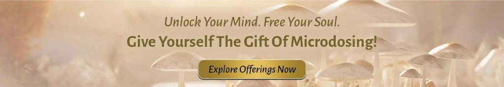 Dosed Documentary and Psilocybin for Addiction